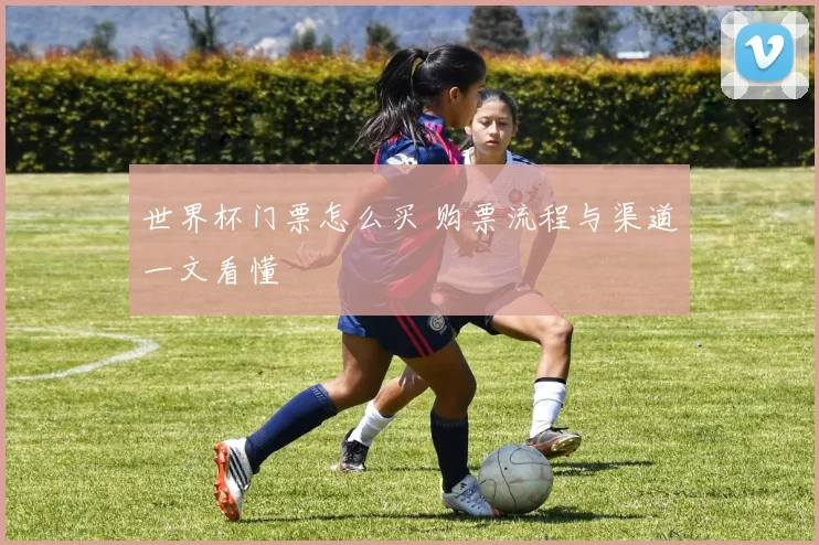 世界杯门票怎么买 购票流程与渠道一文看懂