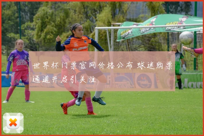 世界杯门票官网价格公布 球迷购票通道开启引关注
