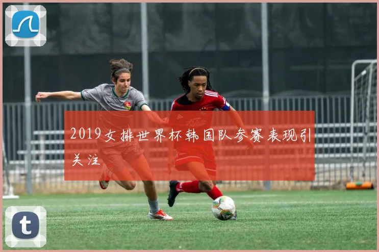 2019女排世界杯韩国队参赛表现引关注