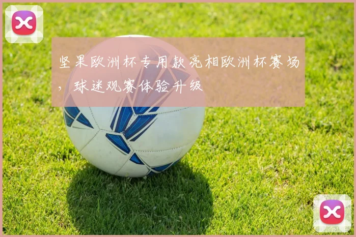 坚果欧洲杯专用款亮相欧洲杯赛场，球迷观赛体验升级