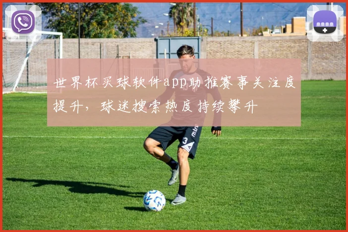 世界杯买球软件app助推赛事关注度提升，球迷搜索热度持续攀升