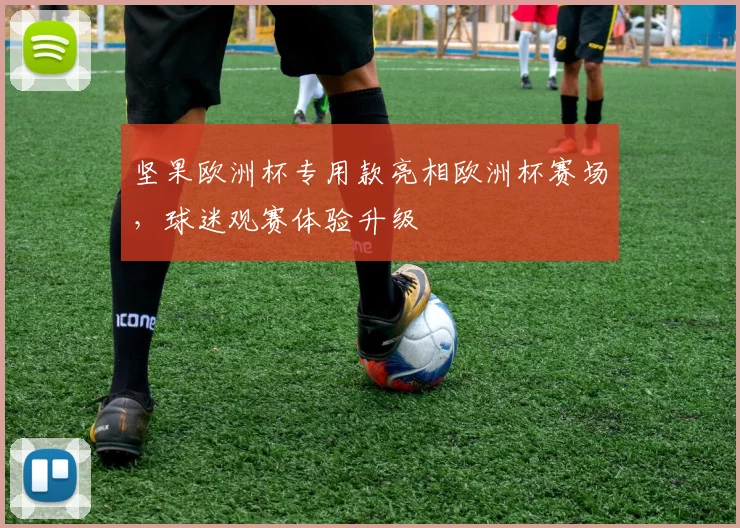 坚果欧洲杯专用款亮相欧洲杯赛场，球迷观赛体验升级