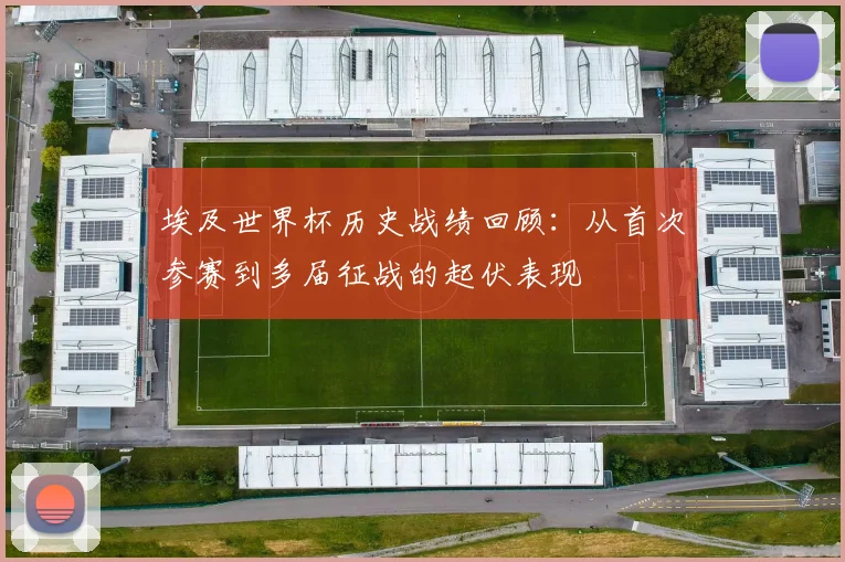 埃及世界杯历史战绩回顾：从首次参赛到多届征战的起伏表现