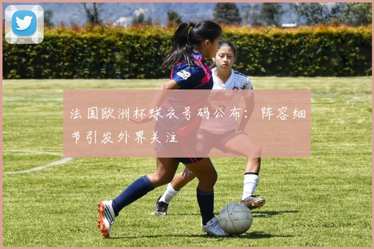 法国欧洲杯球衣号码公布：阵容细节引发外界关注