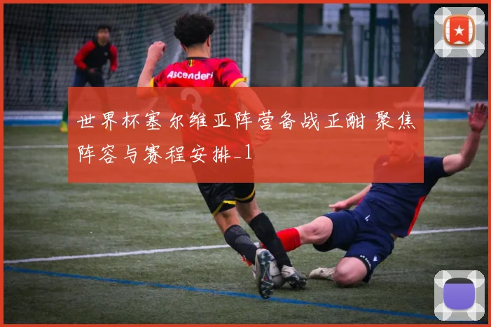 世界杯塞尔维亚阵营备战正酣 聚焦阵容与赛程安排_1