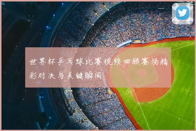 世界杯乒乓球比赛视频回顾赛场精彩对决与关键瞬间