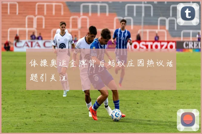 体操奥运金牌背后蚂蚁庄园热议话题引关注